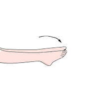 あしくびの上下1