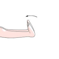 あしくびの上下2