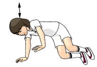 膝をついて腕立て